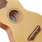 Ashthorpe Soprano Ukulele for Beginners, 21-inch 4 String Uke Starter Bundle Kit for Kids with Gig Bag, Cloth, and Picks